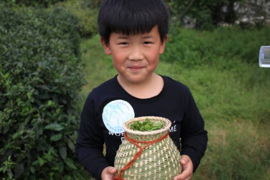 微信图片_20170508124756.jpg 微信图片_20170508124756.jpg