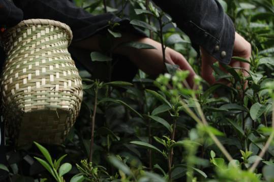 微信图片_20170508124551.jpg 微信图片_20170508124551.jpg